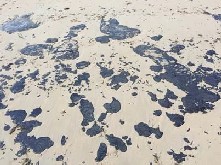 Lower Mesozoic derived oil – tar stranding